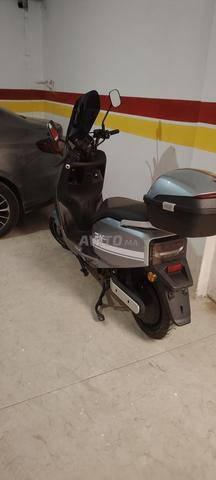 تايج ميو بلس - 2