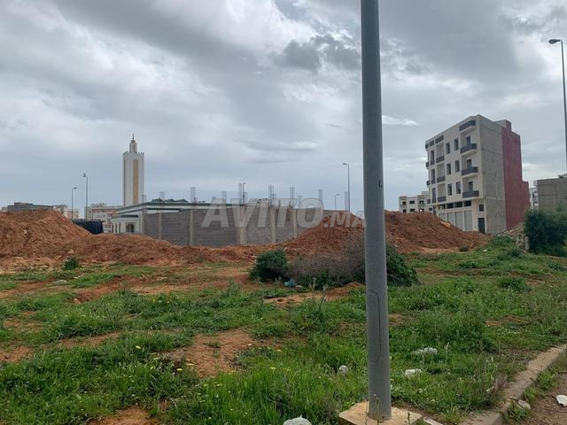 بقعة أرضية للبيع بسيدي علال البحراوي (الكاموني) - 2