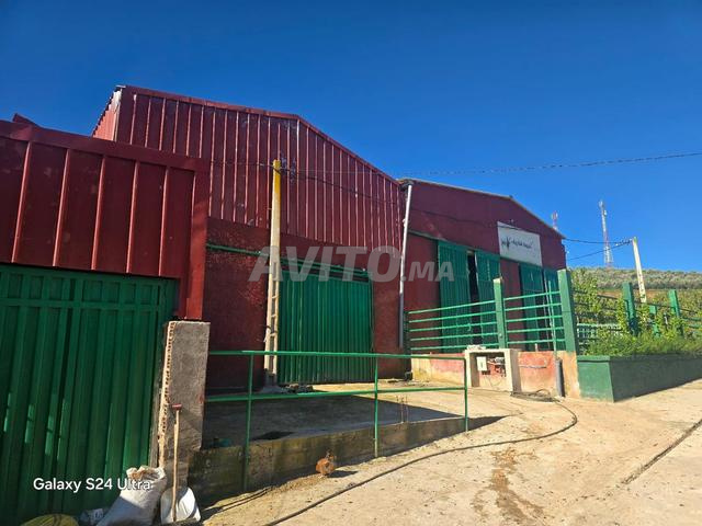 À 15 minutes de Meknès - 2