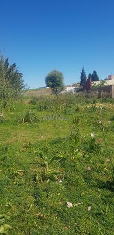 أرض محفظة للبيع تطوان