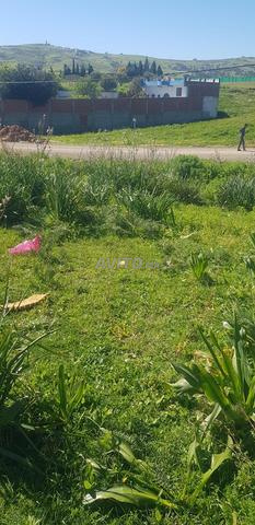 Terrain titré à vendre Tétouan - 2