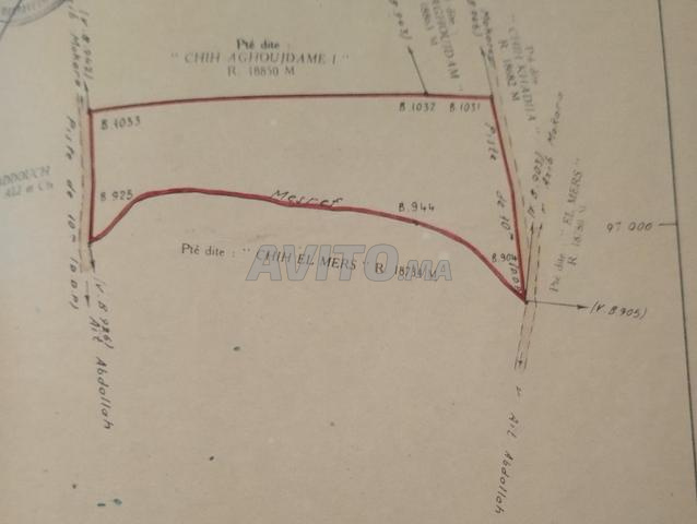 🏡 أرض فلاحية للبيع – طريق أمزميز - مراكش - 2