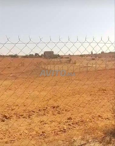أرض 2000 متر سيدي عبد الرزاق - 2