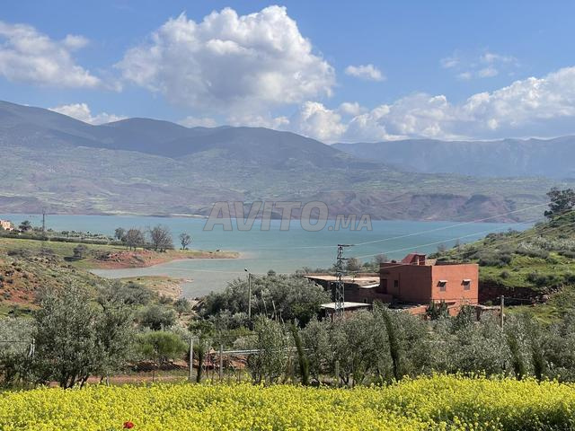 أرض للبيع بين الويدان - 2