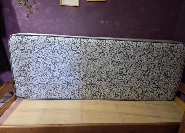 ناموسية و ماطلة - 2