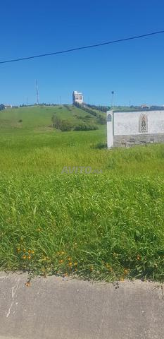 Terrain à vendre à Krouchi Blanco (Autorisation pour station-service)