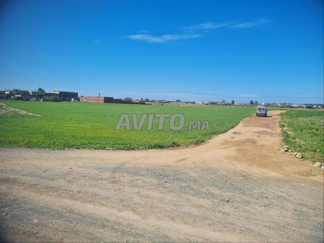 Vente terrains titrés & villas à Sidi Rahal