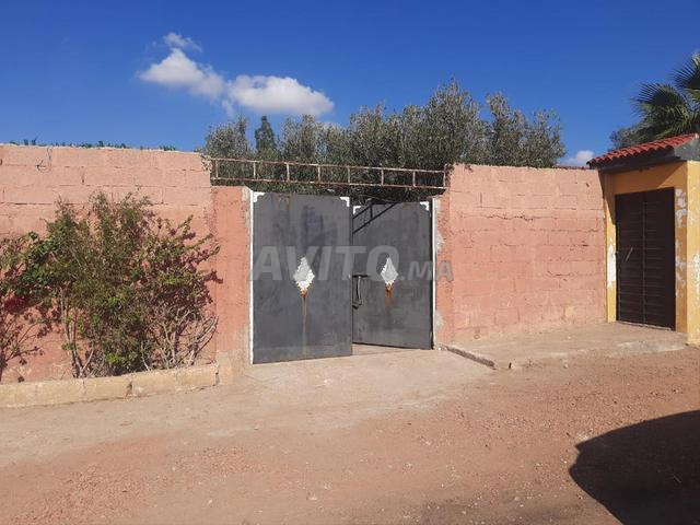 Ferme excellente à vendre près de Berrechid - 2