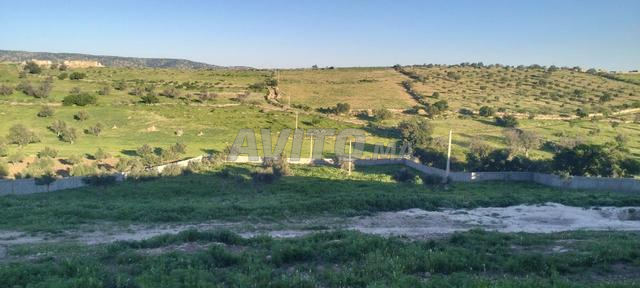 قطعة أرضية بمساحة 7000 متر مربع بجماعة حد الدرا