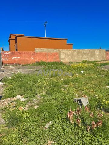 أرض في بوروس 400م مالكية