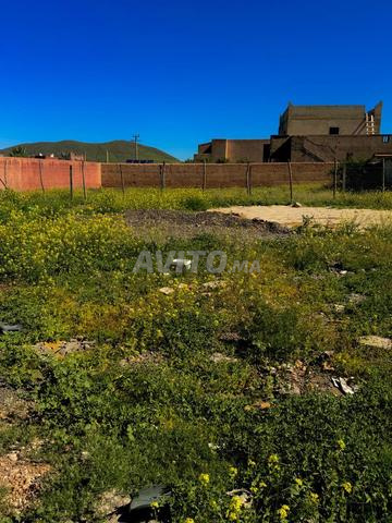 أرض في بوروس 400م مالكية - 2