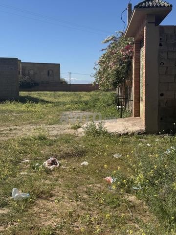 أرض 220م² كم 16 الملعب الكبير مراكش - 2
