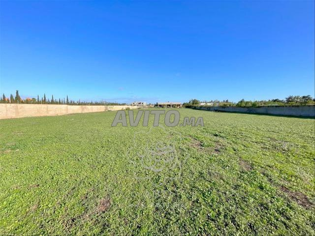 Terrains et fermes agricoles titrés à El-Biar El-Jdid