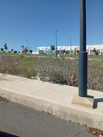 أرض للبيع - 2