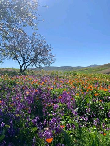 Appartement à louer à la journée