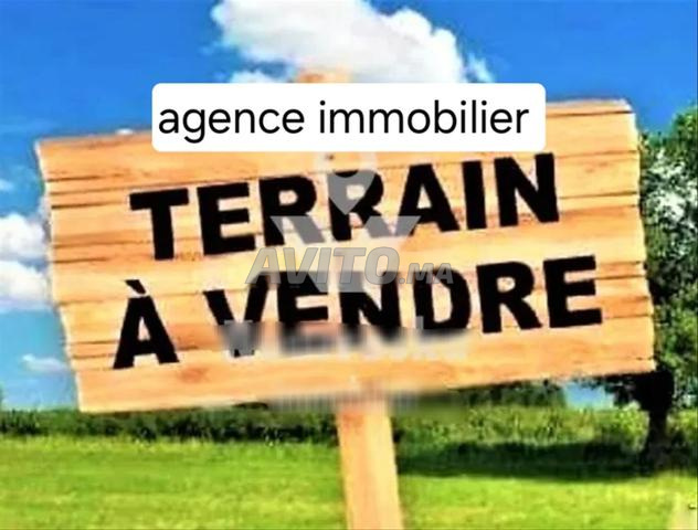 أرض للبيع في أليانس مهديّة 100م²