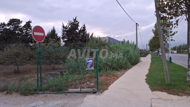Terrain titré rue principale Mellaline - 2