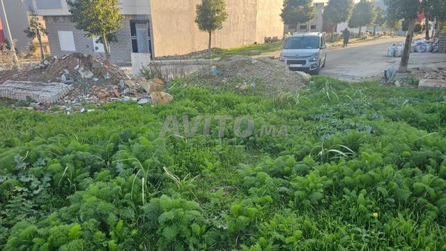 Terrain titré, lotissement Zemmouri - 2