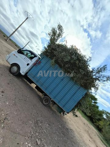 Assif El Mal Chichaoua - 2