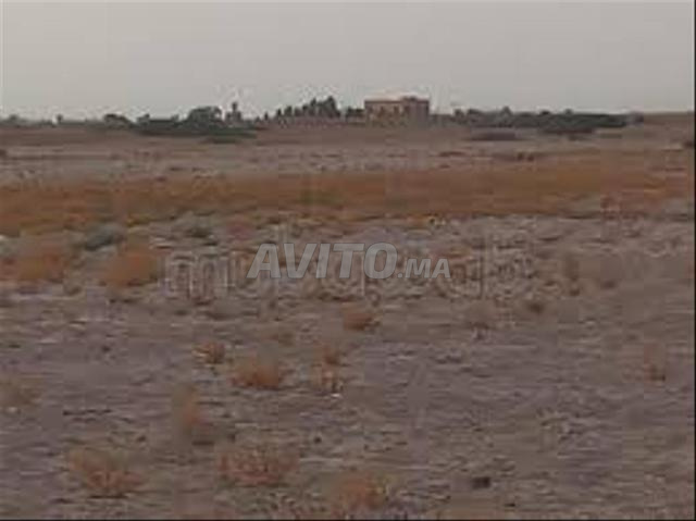 Terrain agricole à louer
