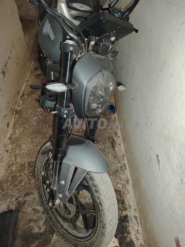 Cimatti Evo Monster - 2