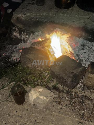 باب أمامي أيسر مقعد إيبيزا 2025 - 2