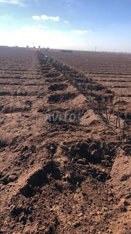 أرض زراعية - 2