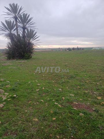 Terrain sur la route nationale 2 - 2