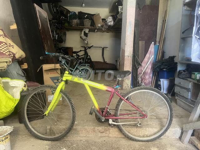 Vente de vélos en gros - 2