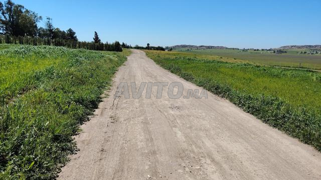 2.4 ha – Titre Foncier & Vue Unique – 7 km de Benslimane - 2