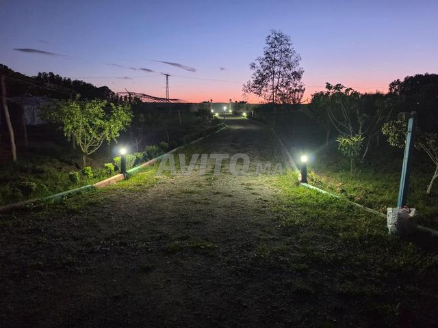 مزرعة للبيع - 2