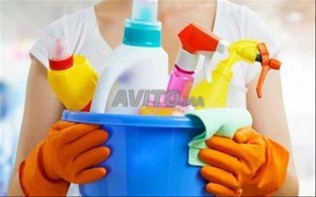 Femme de ménage, cuisinière, nounou, garde malade