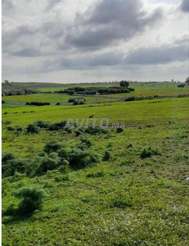 grand terrain à potentiel à bouskoura Casablanca 