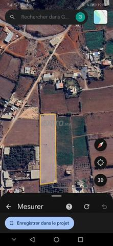 Terrain agricole à vendre 8000m - 2