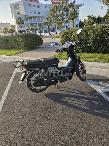 دراجة نارية 33 ريبيرو 2024 - 2