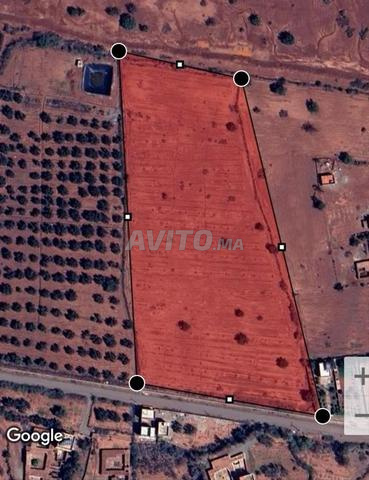 3 hectares titrés sur goudron à Eddir