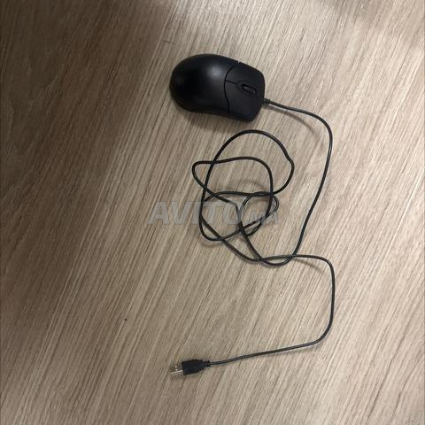 فأرة سلكية USB بحالة جيدة بسعر منخفض