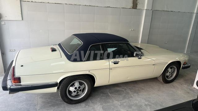 JAGUAR COLLECTION - 2