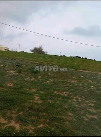 أرض للبيع بجانب البحر - 2