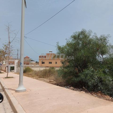 أرض محفظة للبيع بـ 3500 درهم للمتر - 2