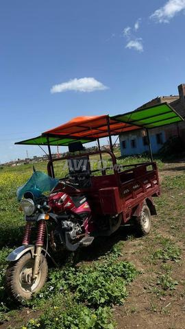 Triporteur Docker 2025 - 2