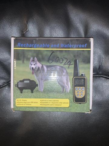 Collier électronique waterproof