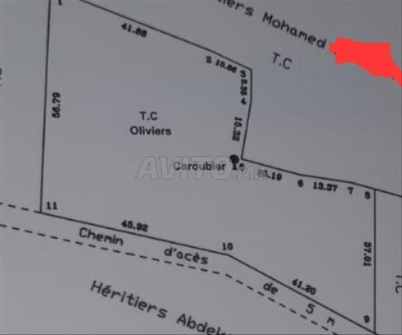 أرض للبيع بالقرب من الغزوة - 2