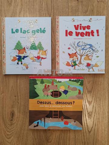 lot 3 livres