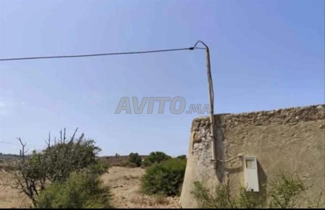 أرض فلاحية - 2