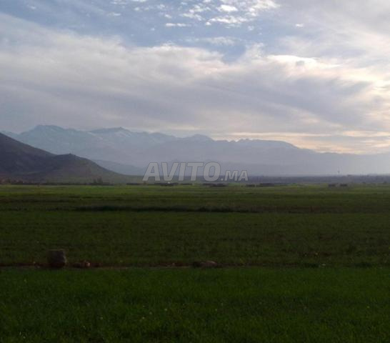 أرض 3000 متر مربع في أيت أورير - أمانوز