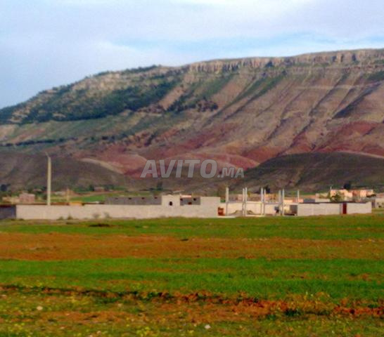 Terrain de 3000 m² à Aït Ourir - Amanouz - 2