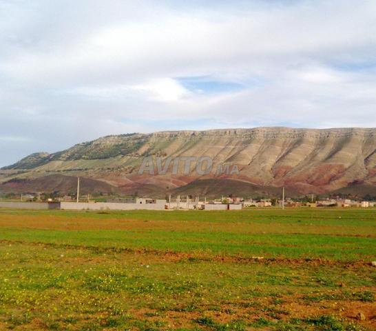 أرض 3000 م² في أيت أورير / أمانوز - 2