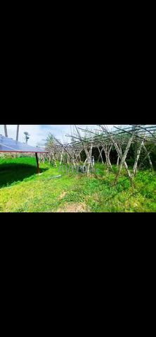 أرض للبيع المساحة هكتار ونص