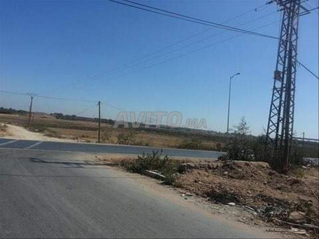 أرض بمساحة 8 هكتارات في مكنسة الدار البيضاء - 2